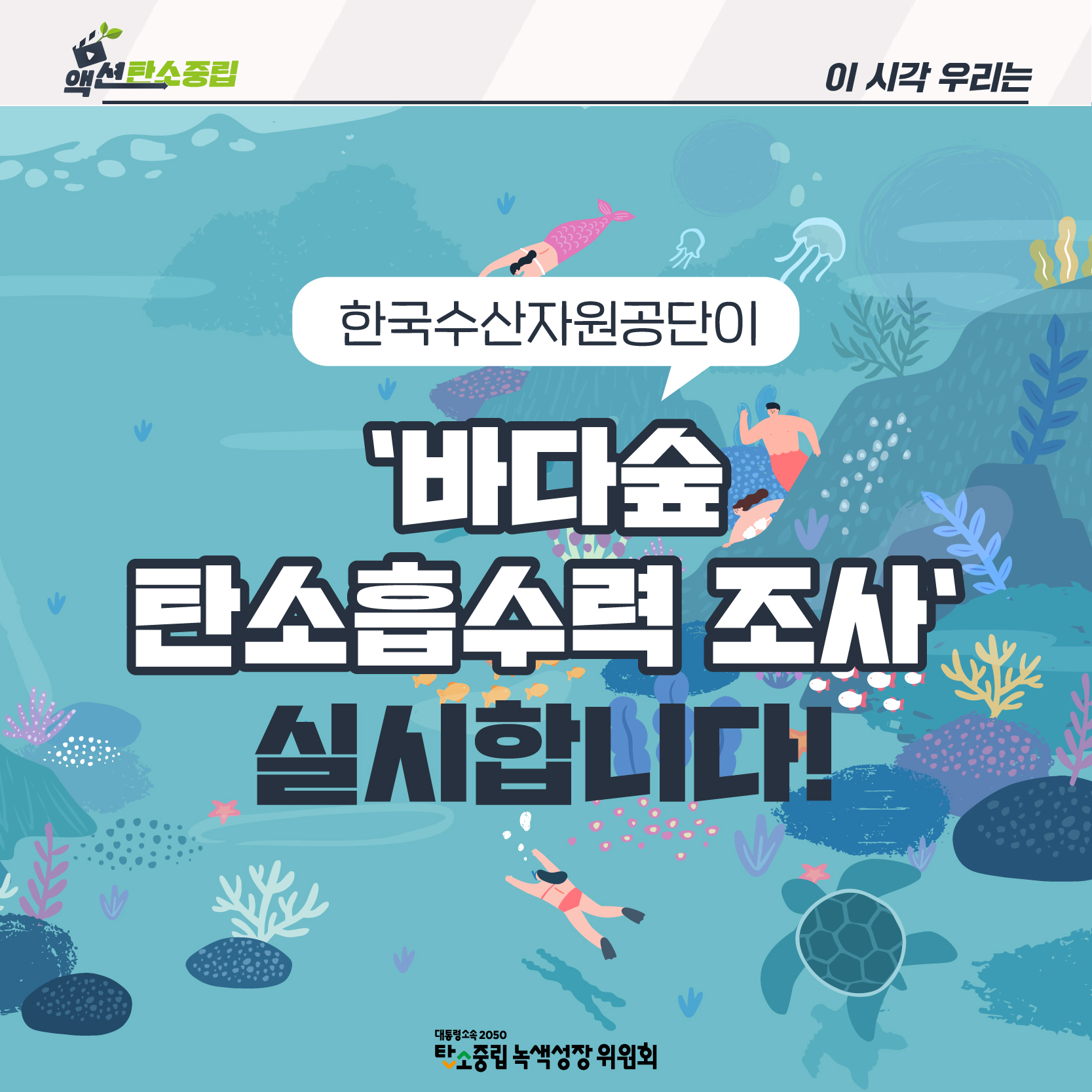 ‘바다숲 탄소흡수력 조사’를 실시합니다!