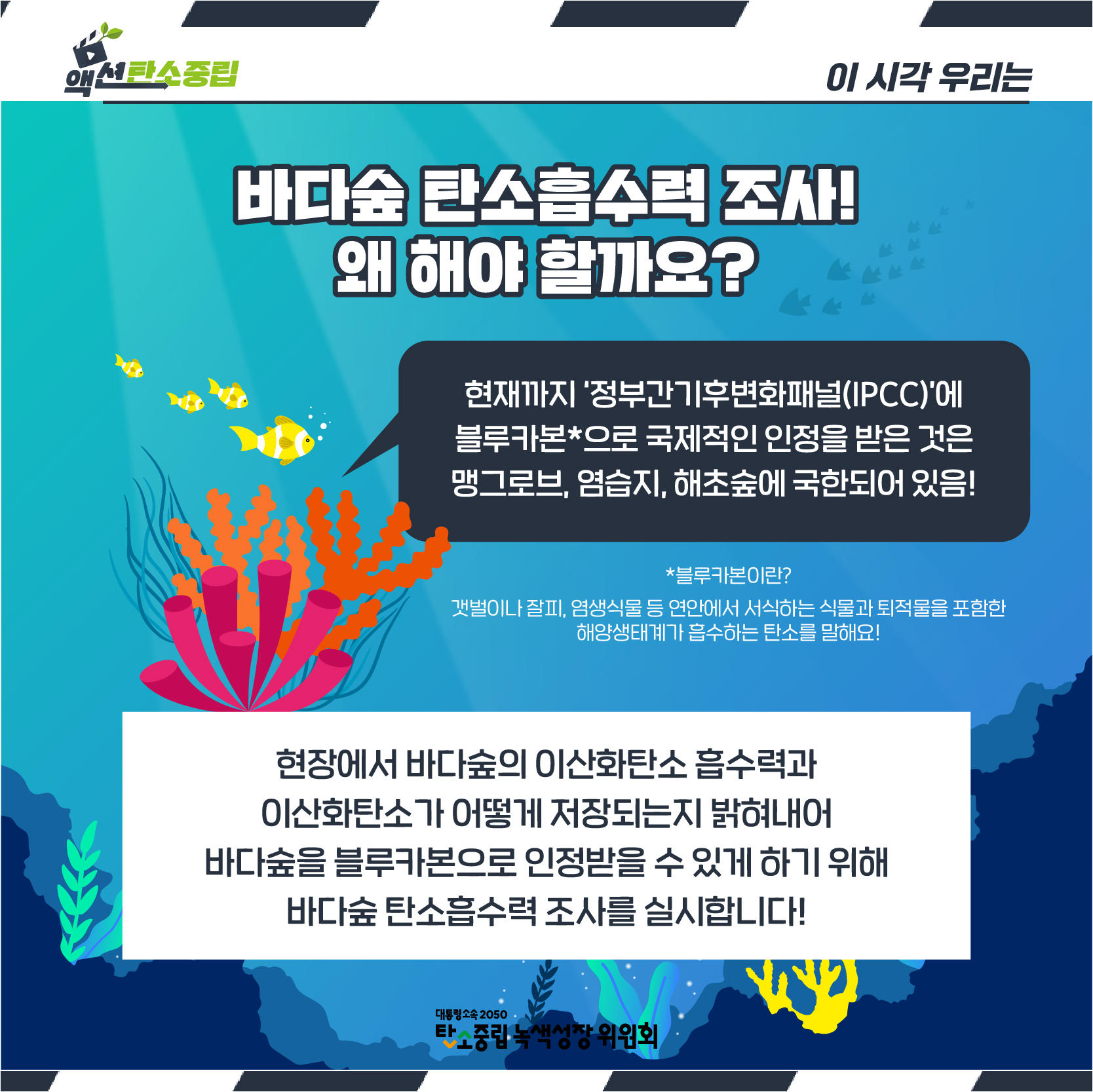 하단 내용 참조