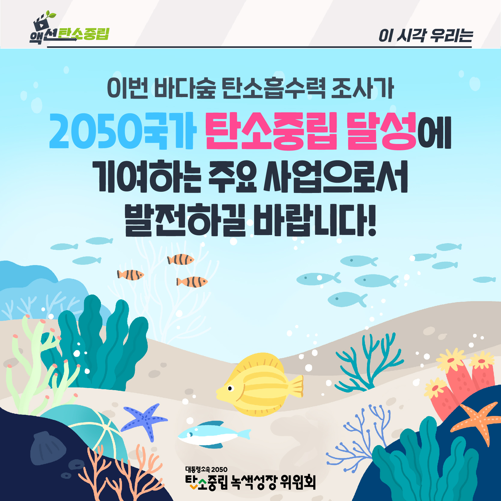 이번 바다숲 탄소흡수력 조사가 2050국가 탄소중립 달성에 기여하는 주요 사업으로서 발전하길 바랍니다!