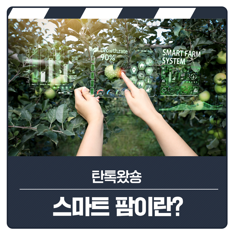 탄톡왔숑_스마트팜