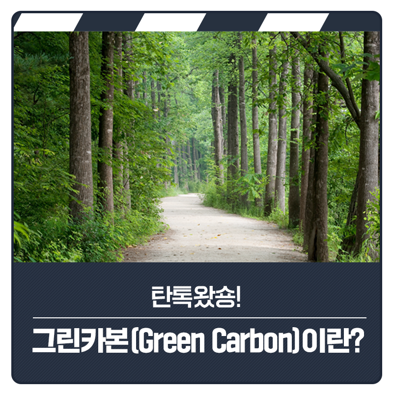 탄톡왔숑_그린카본이란