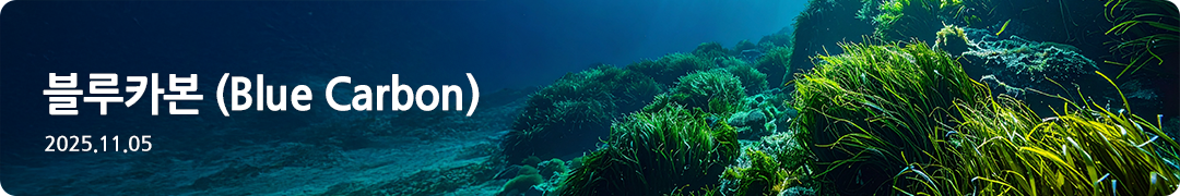 블루카본