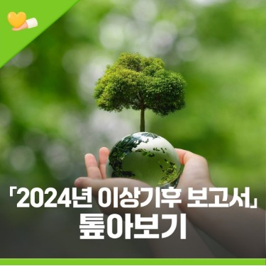 기후 위기 시대, 우리 산림은 안전한가?